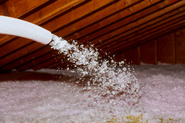 Best Insulation Replacement Services  in Raintree Plantation, MO