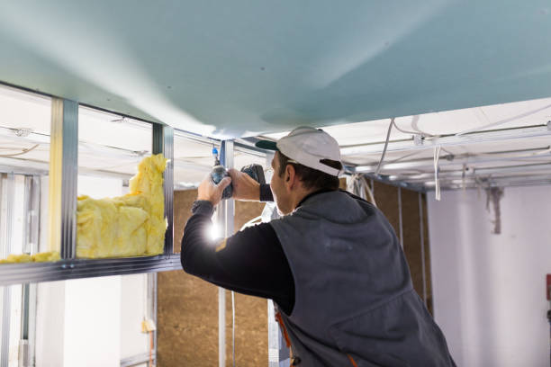 Trusted Raintree Plantation, MO Insulation Contractor Experts