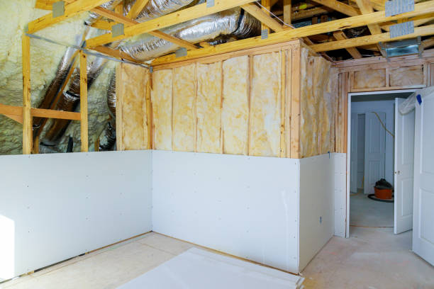Best Insulation Inspection Services  in Raintree Plantation, MO