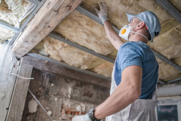 Best Insulation Inspection Services  in Raintree Plantation, MO
