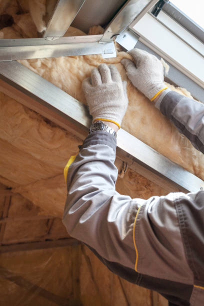 Best Local Insulation Services  in Raintree Plantation, MO