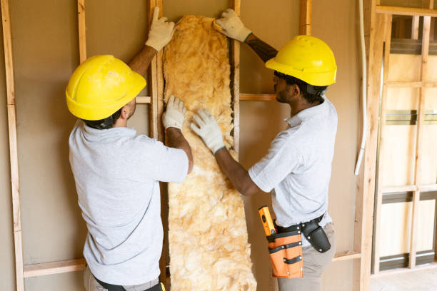Best Spray Foam Insulation  in Raintree Plantation, MO