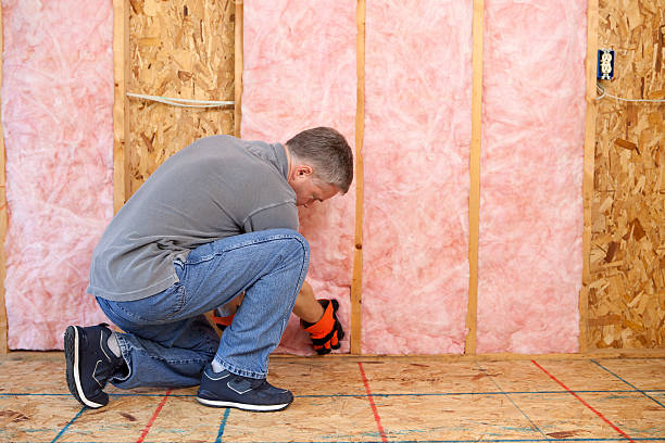 Best Insulation Replacement Services  in Raintree Plantation, MO