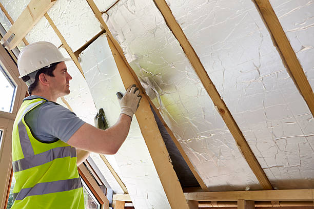 Best Best Insulation Companies  in Raintree Plantation, MO