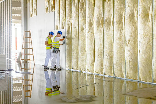 Best Insulation Inspection Services  in Raintree Plantation, MO